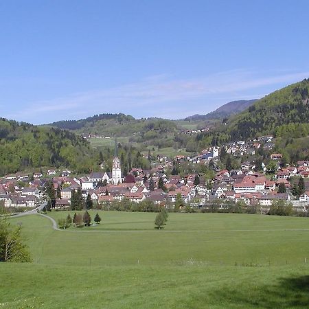 Parkhotel Sonne Schönau im Schwarzwald Exterior photo