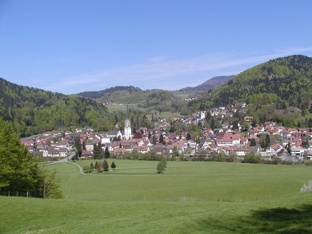 Parkhotel Sonne Schönau im Schwarzwald Exterior photo